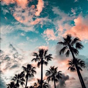 Meet your Posher, Shawn